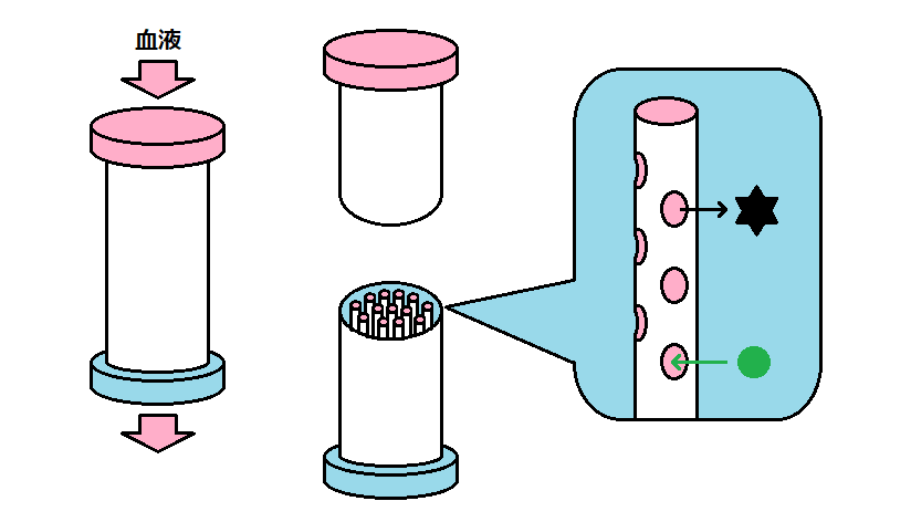 ヘモプレックスのリーフレット